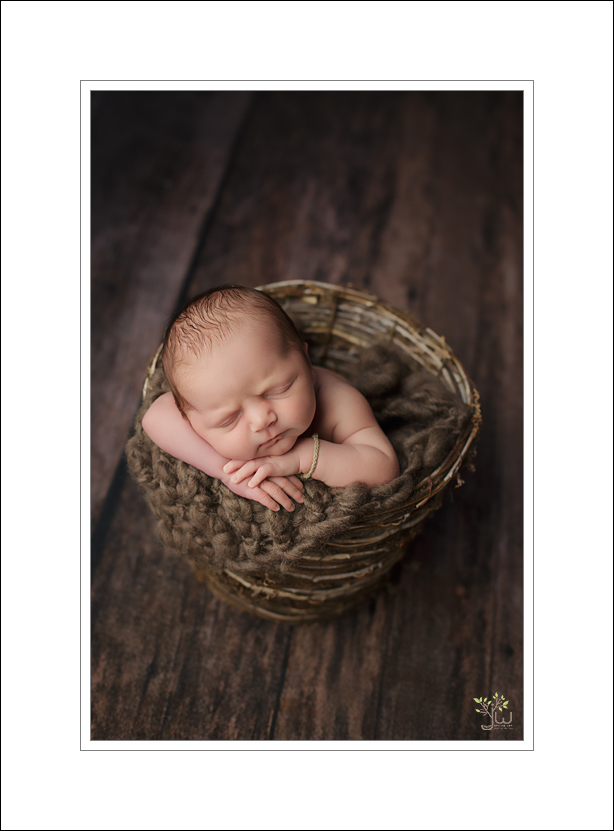 Tacoma newborn photography